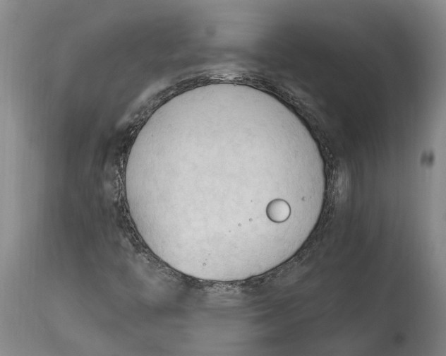 X0000115101446200911171229