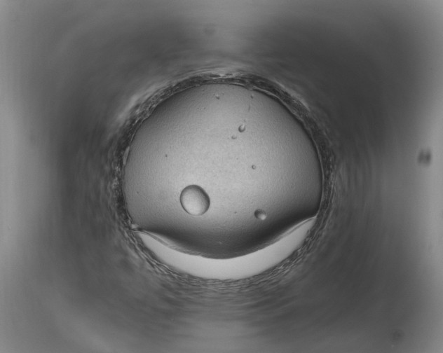 X0000115101447200911171229