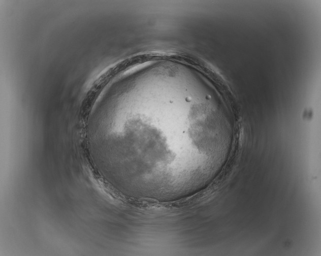 X0000115101448200911171229