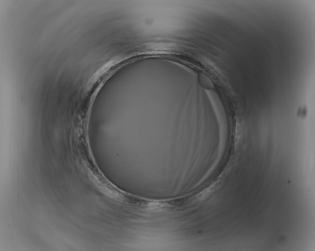 X0000115101449200911171229