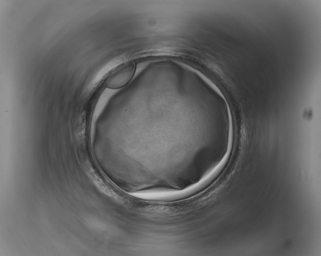 X0000115101450200911171229