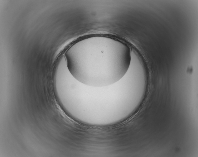 X0000115101452200911171229