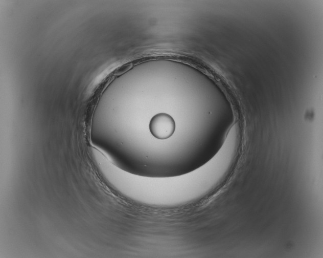 X0000115101453200911171229