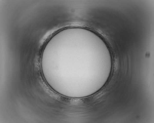 X0000115101454200911171229