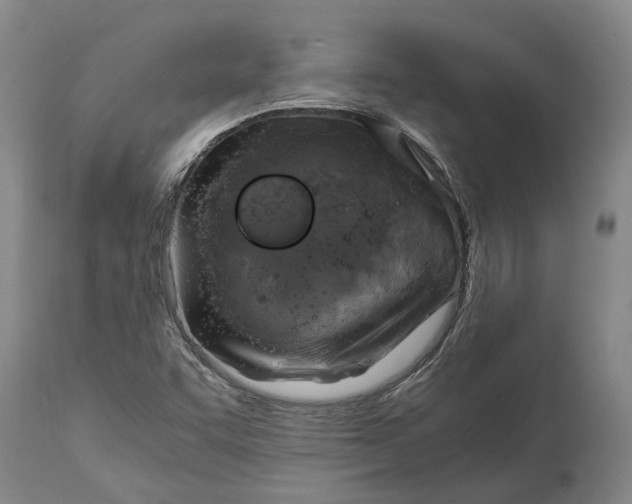 X0000115101455200911171229