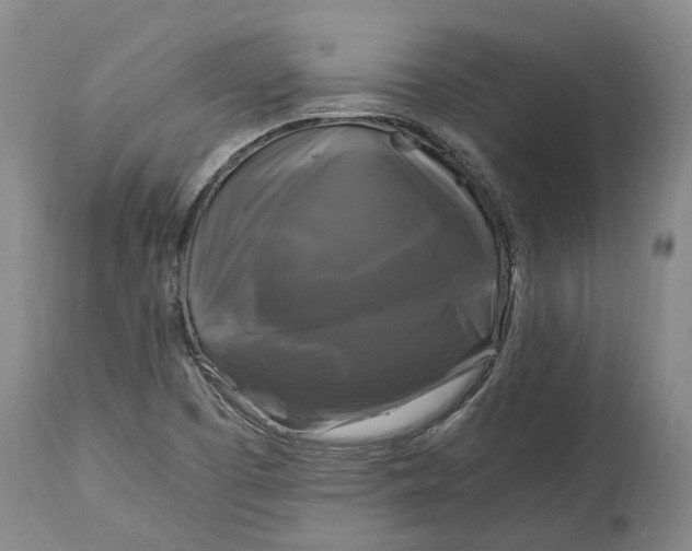 X0000115101457200911171229