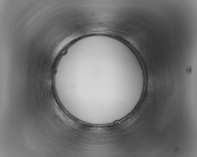 X0000115101458200911171229