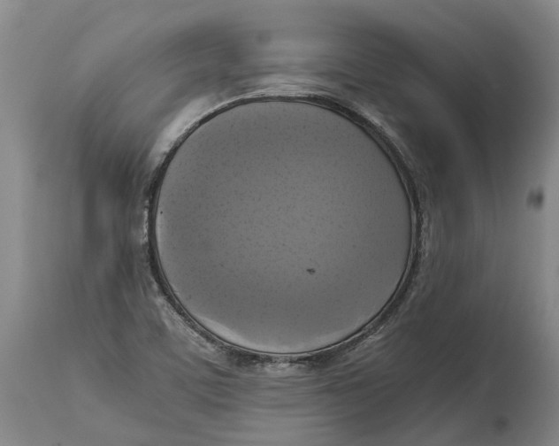 X0000115101459200911171229