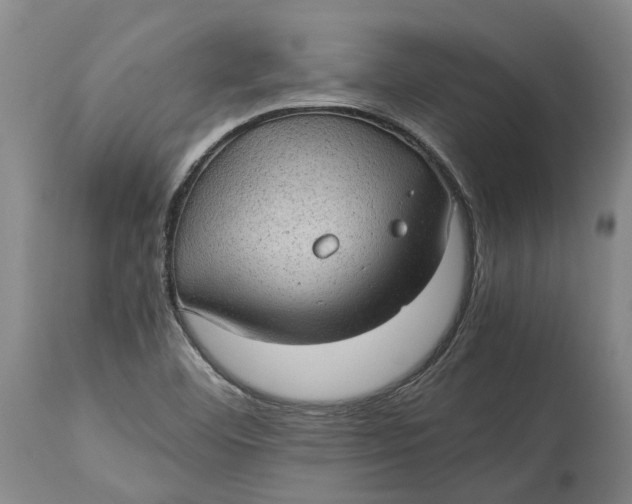 X0000115101460200911171229