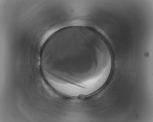 X0000115101461200911171229