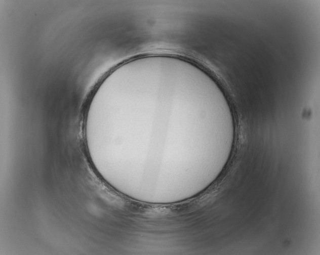 X0000115101462200911171229