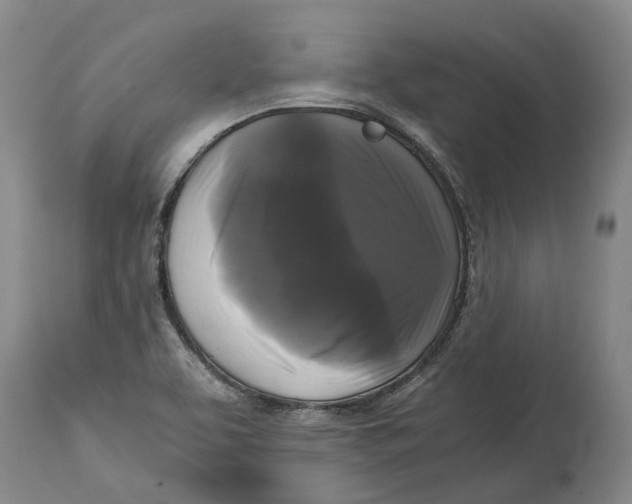 X0000115101463200911171229