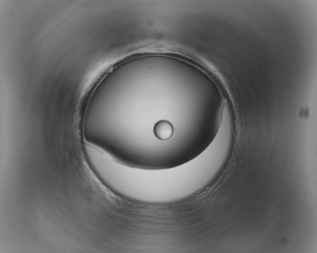 X0000115101464200911171229