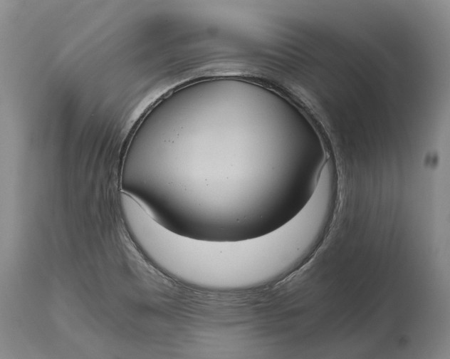 X0000115101465200911171229