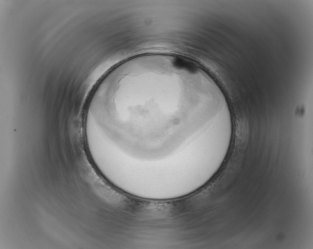 X0000115101466200911171229