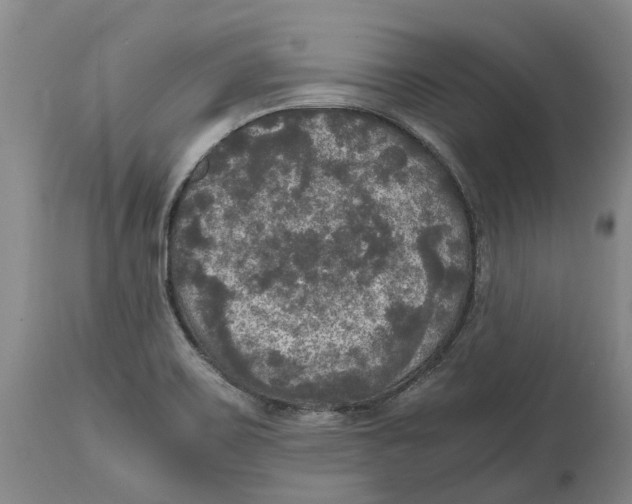 X0000115101467200911171229