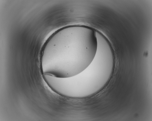 X0000115101468200911171229