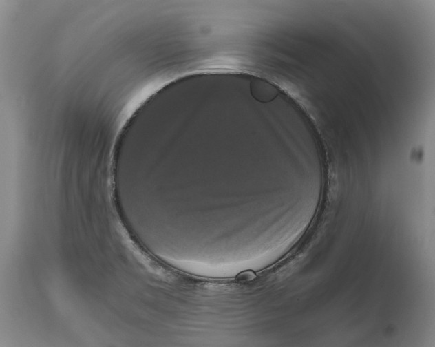 X0000115101469200911171229