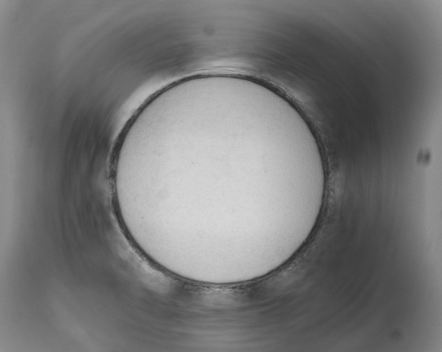 X0000115101470200911171229