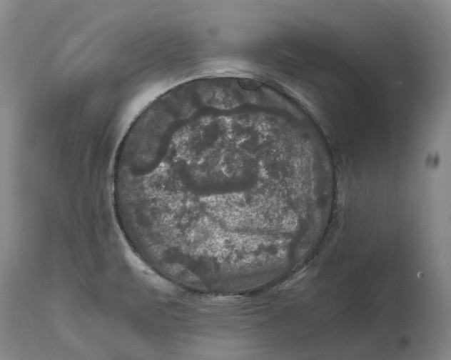 X0000115101471200911171229