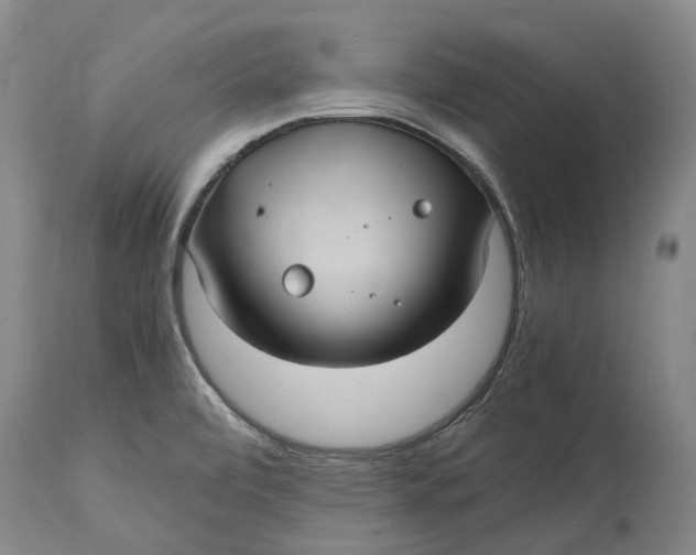 X0000115101472200911171229