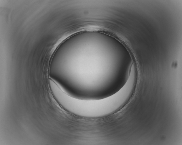 X0000115101473200911171229