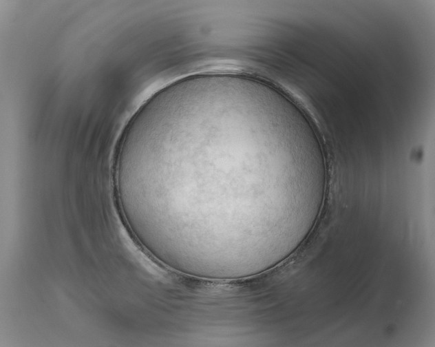 X0000115101475200911171229