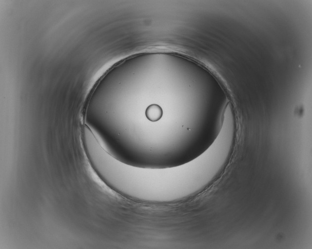 X0000115101476200911171229