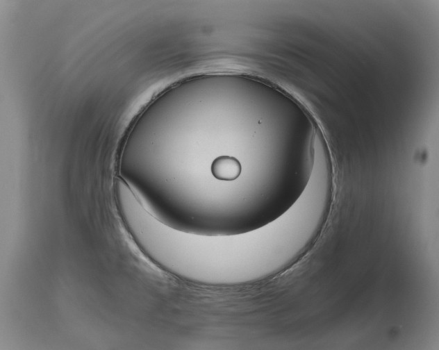 X0000115101477200911171229