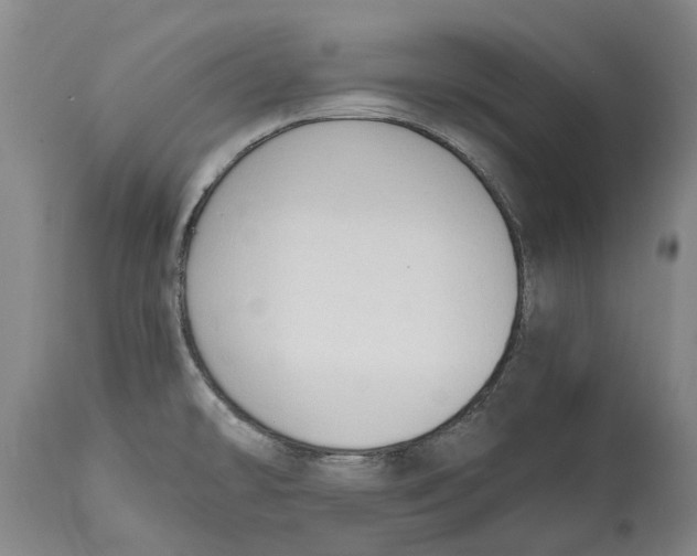 X0000115101478200911171229