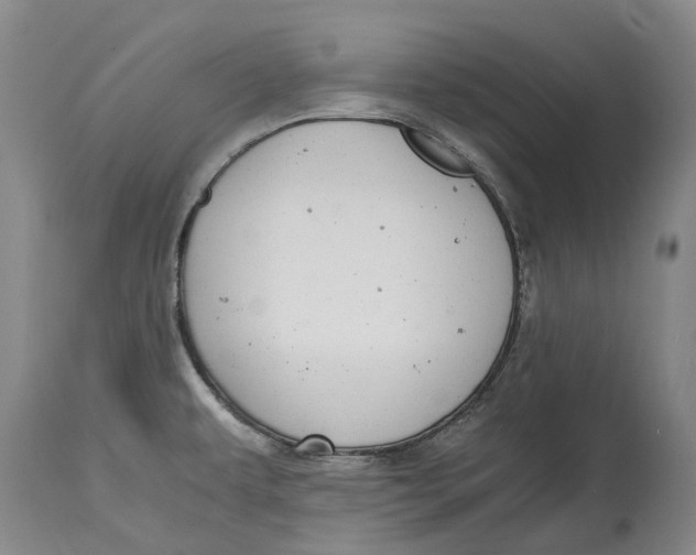 X0000115101479200911171229