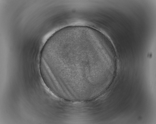 X0000115101480200911171229