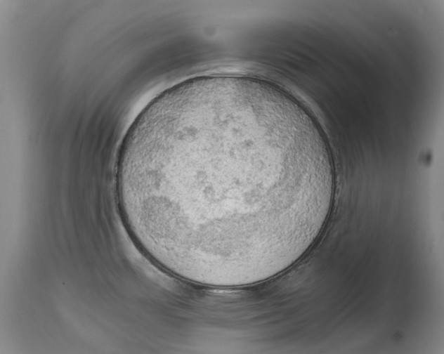 X0000115101483200911171229