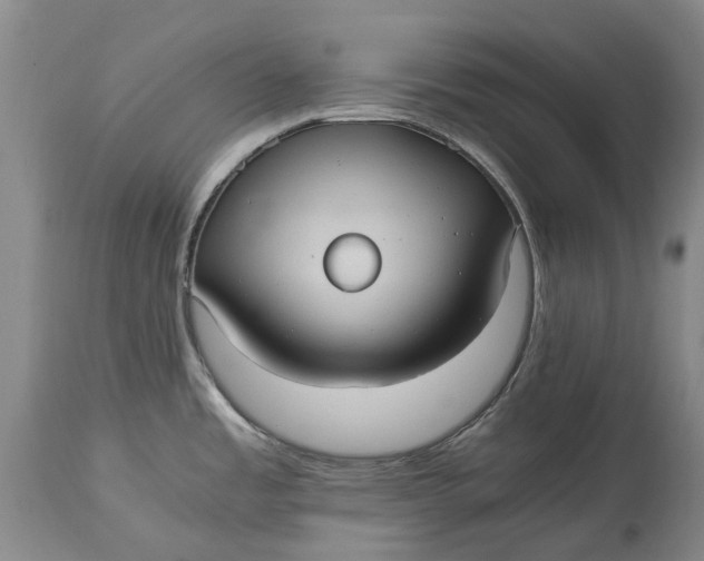 X0000115101485200911171229