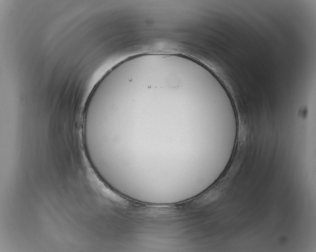 X0000115101486200911171229