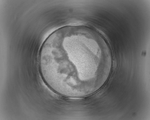 X0000115101487200911171229