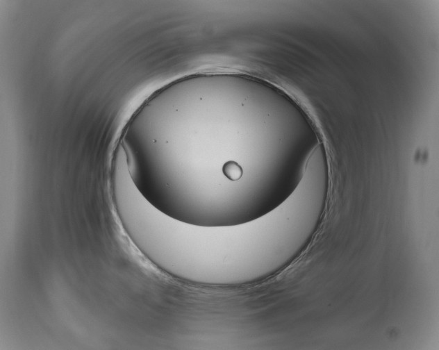 X0000115101488200911171228