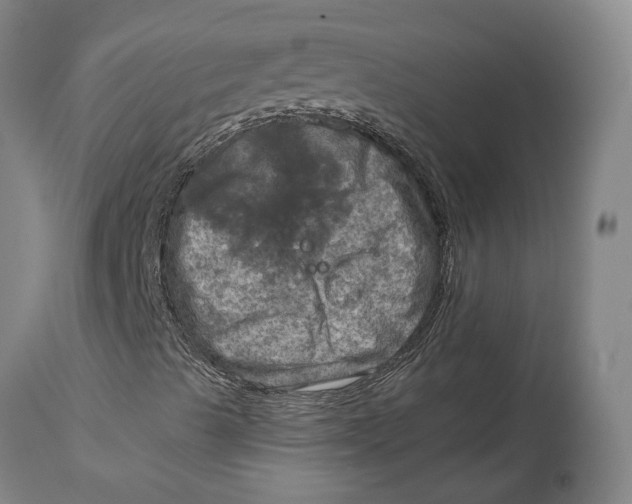 X0000115101489200911171228