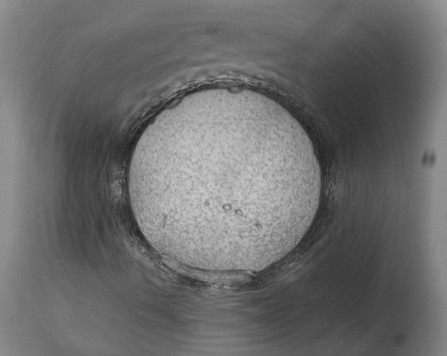 X0000115101490200911171228