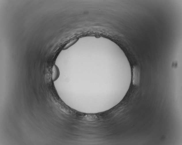 X0000115101491200911171228