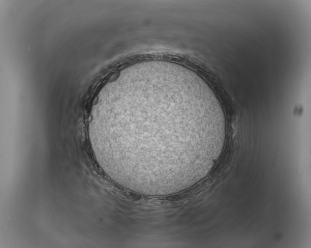 X0000115101493200911171228