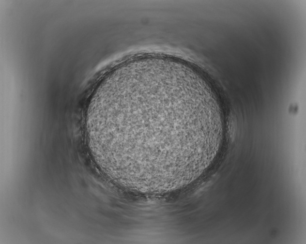 X0000115101494200911171228