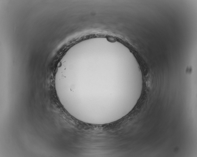 X0000115101495200911171228