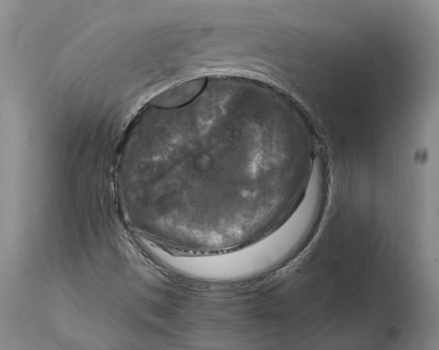 X0000115101497200911171228