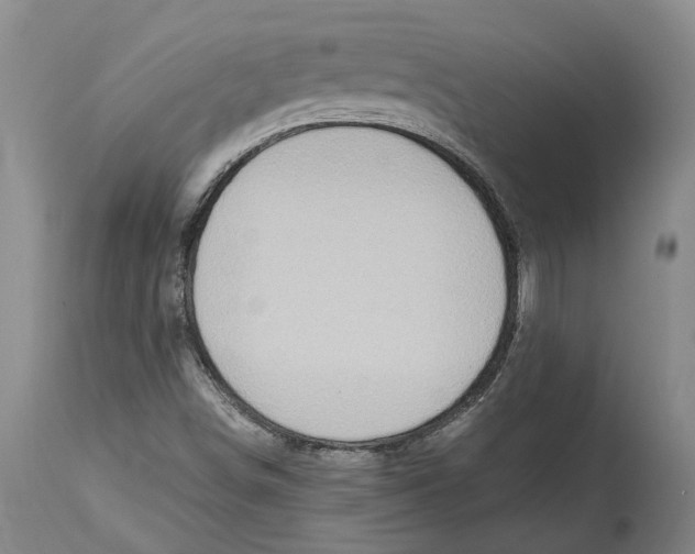 X0000115101498200911171228