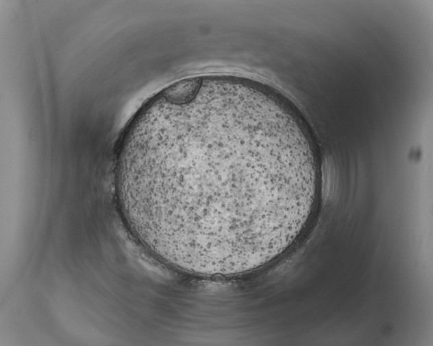 X0000115101501200911171228