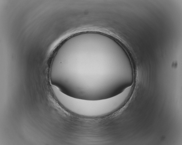 X0000115101502200911171228