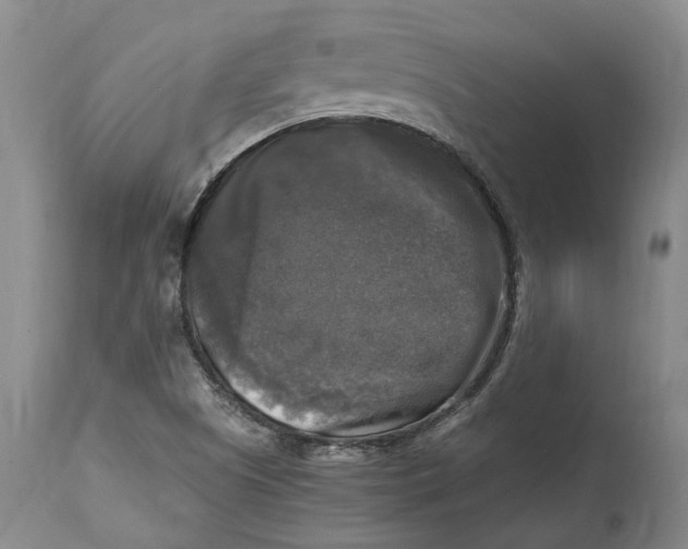 X0000115101505200911171228