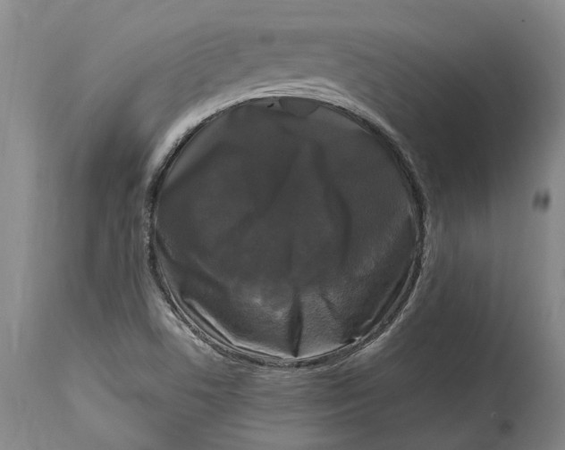 X0000115101506200911171228