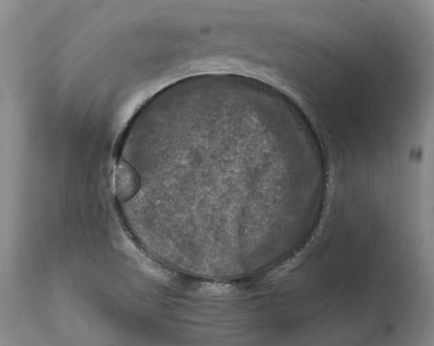 X0000115101509200911171228